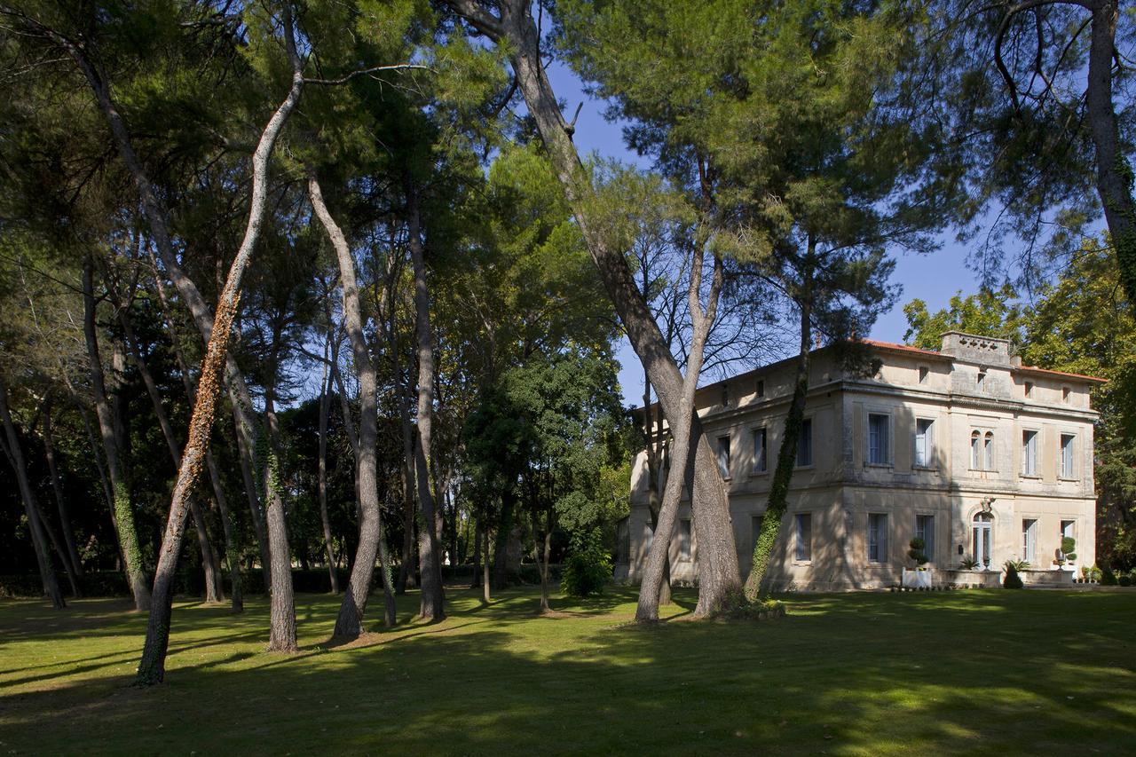 Chateau Sainte Colombe Bed & Breakfast エクステリア 写真