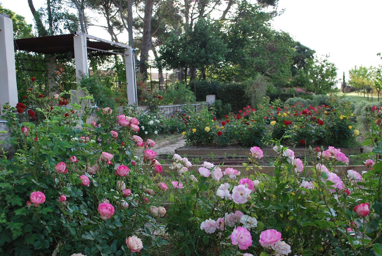 Chateau Sainte Colombe Bed & Breakfast エクステリア 写真